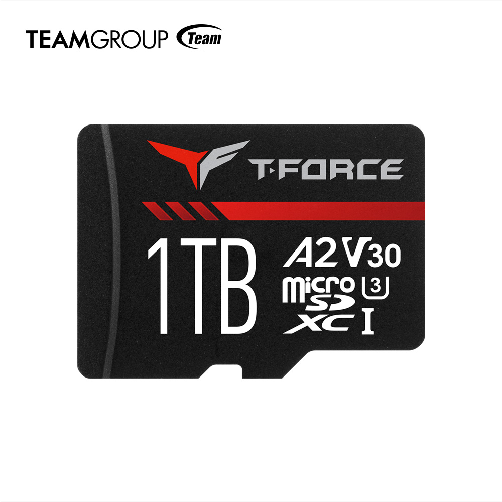 TEAMGROUP T-FORCE GAMING A2 CARD